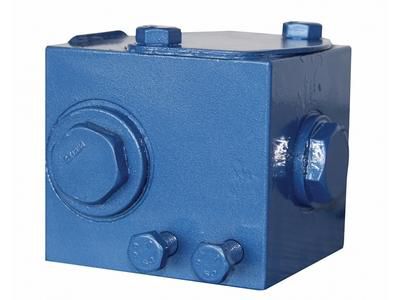 Check Valve